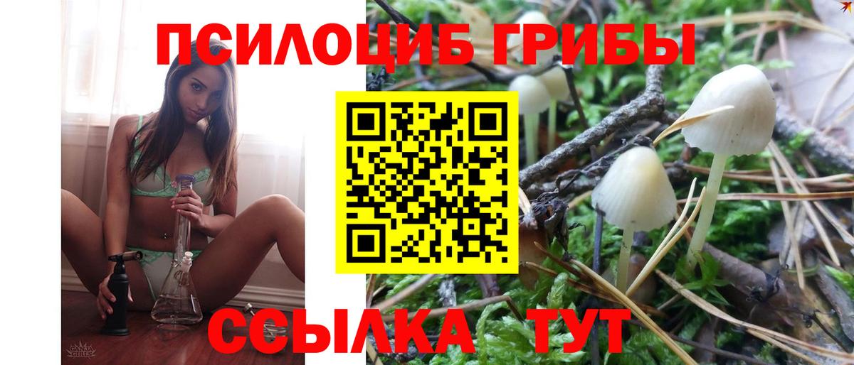 Аша  Псилоцибиновые грибы GOLDEN TEACHER  Вход с VPN 